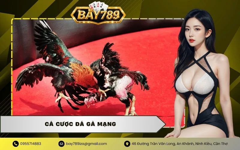 Cá Cược Đá Gà Mạng