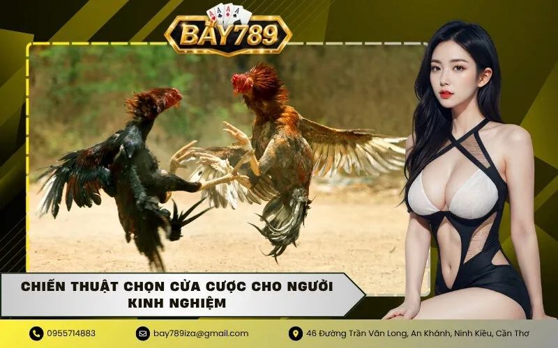 Chiến thuật chọn cửa cược cho người kinh nghiệm