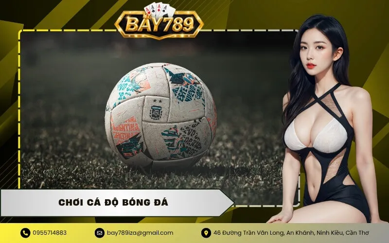 Chơi Cá Độ Bóng Đá
