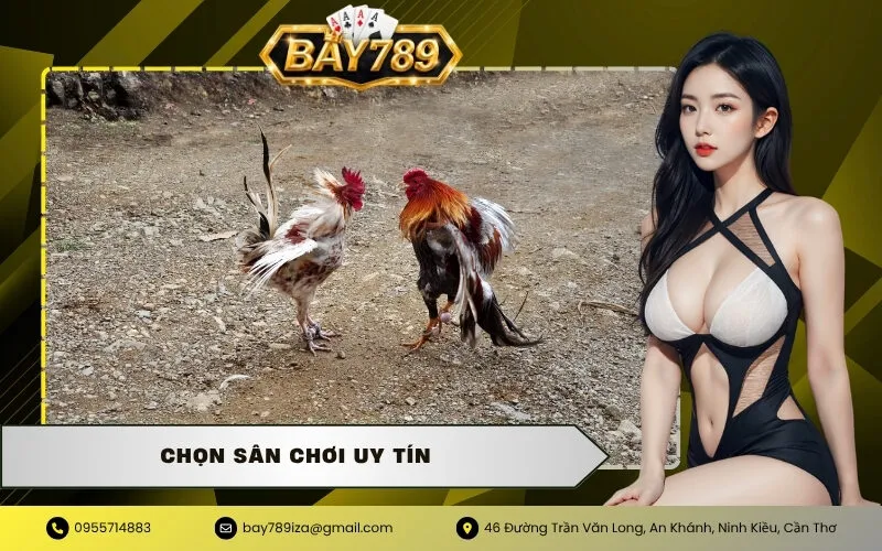 Chọn Sân Chơi Uy Tín