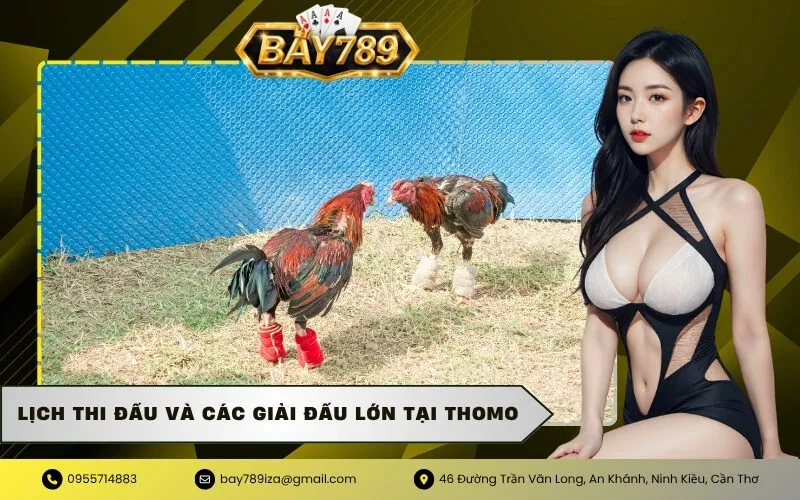 Lịch thi đấu và các giải đấu lớn tại Thomo