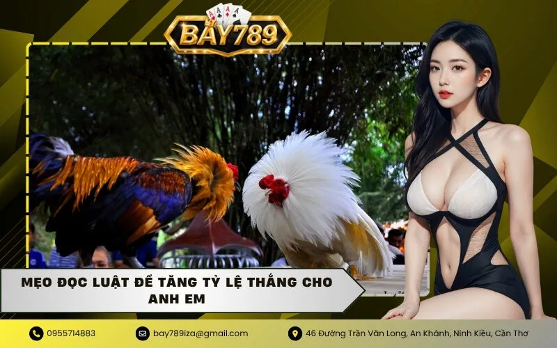 Mẹo đọc luật để tăng tỷ lệ thắng cho anh em