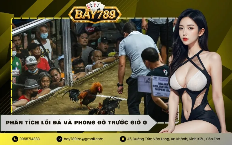 Phân Tích Lối Đá Và Phong Độ Trước Giờ G