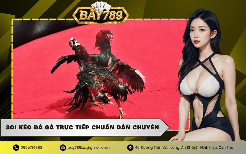 Soi Kèo Đá Gà Trực Tiếp Chuẩn Dân Chuyên