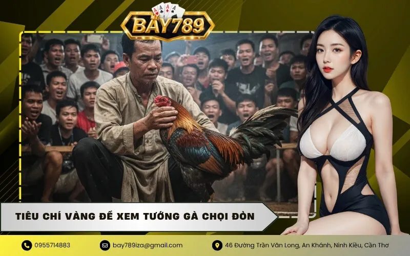 Tiêu chí Vàng để xem tướng gà chọi đòn