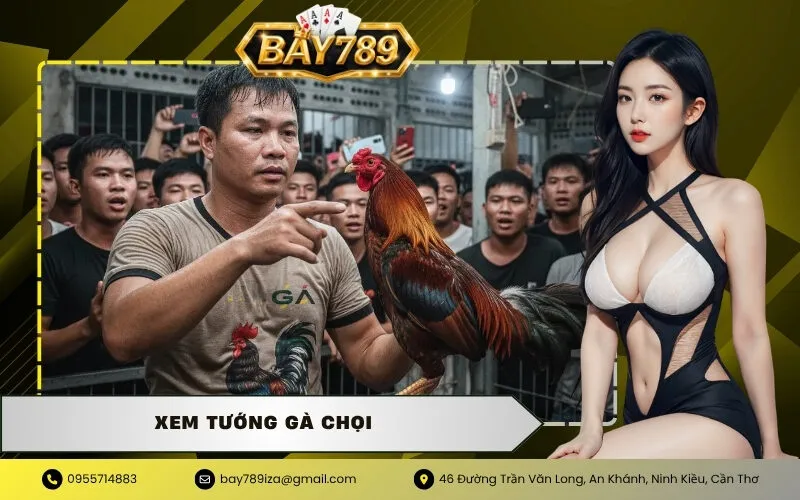 Xem Tướng Gà Chọi