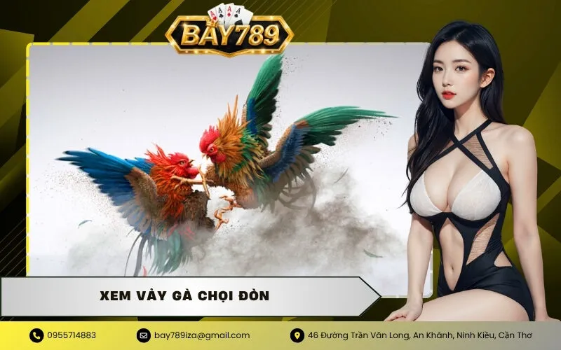 Xem vảy gà chọi đòn